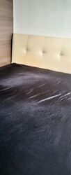 Blk 571C Champions Court (Woodlands), HDB 4 Rooms #566302491